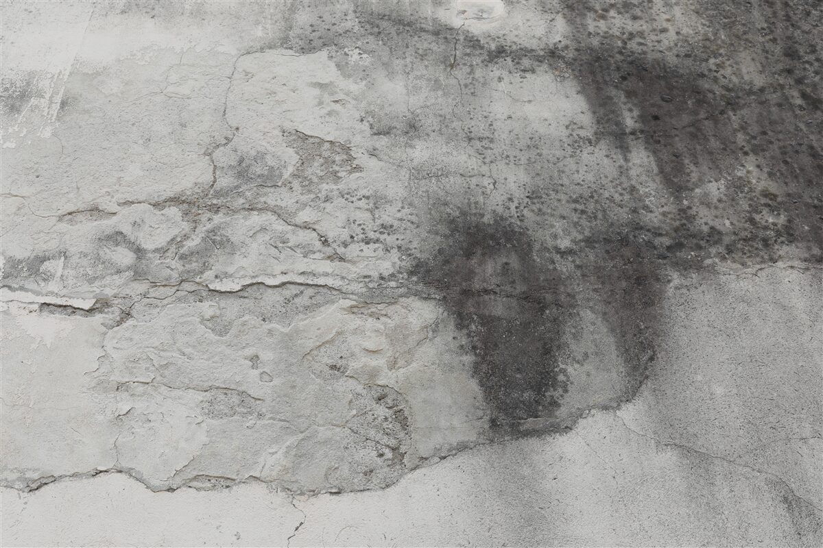 Fototapeta štruktúra v odtieňoch popola