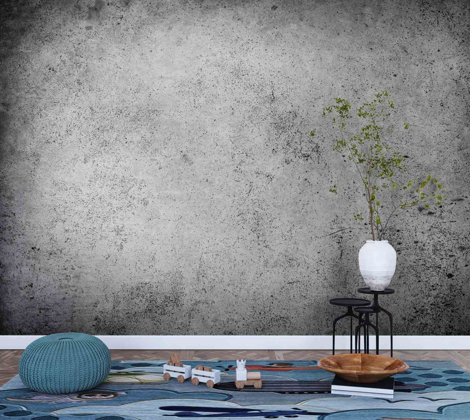 Fototapeta starodávna šedá bariéra