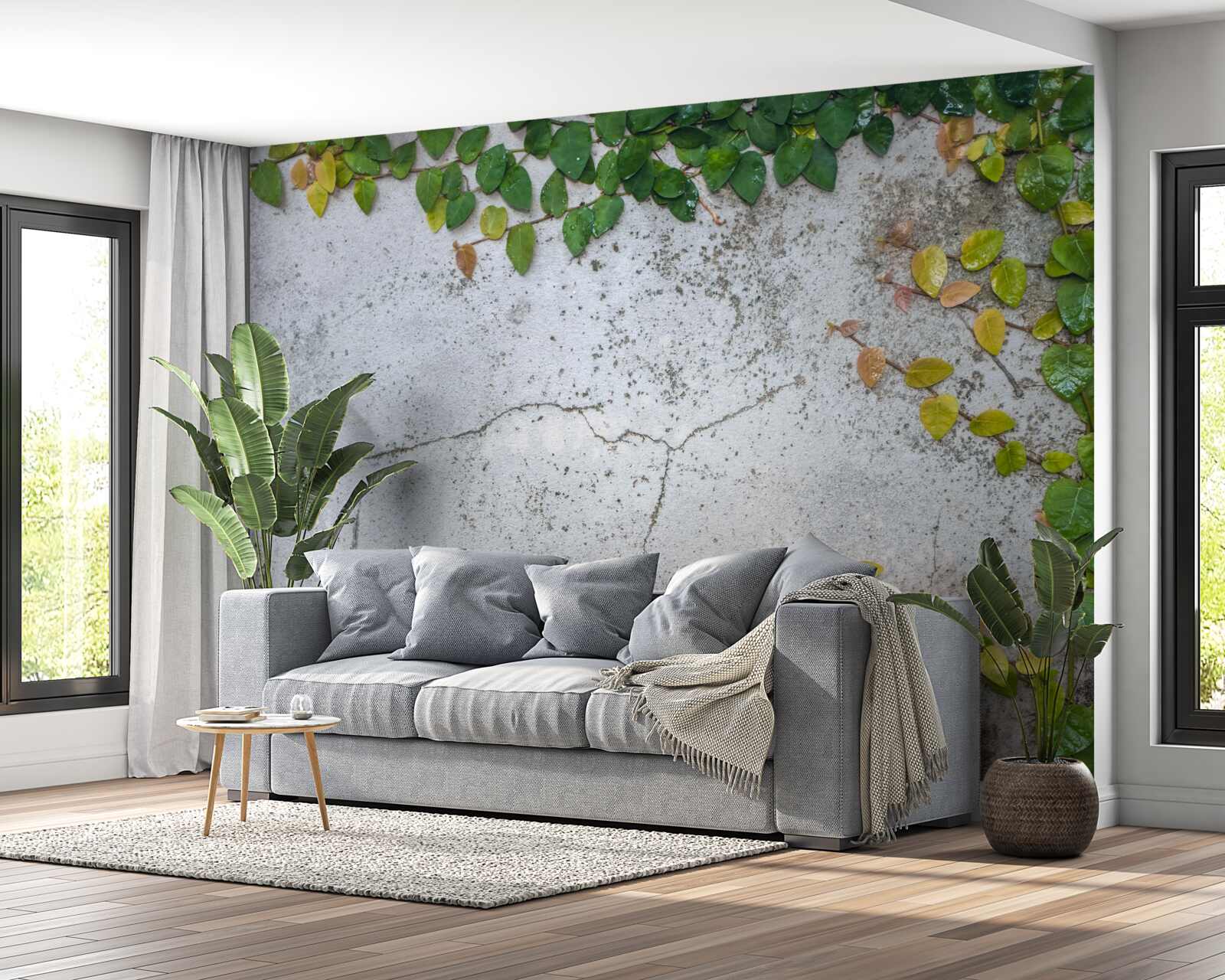 Fototapeta listy sú zelenožlté na sivom podklade