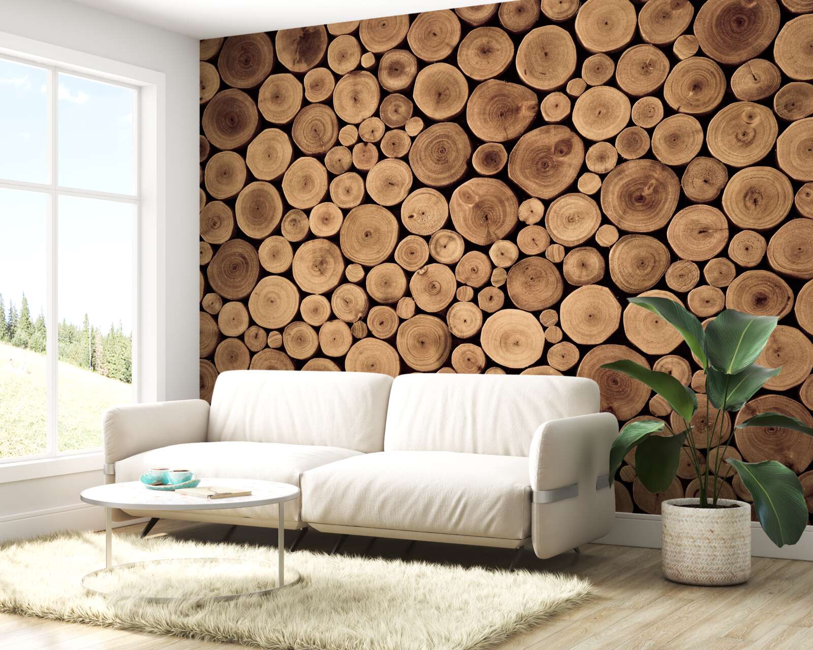 Fototapeta opatrne orezať okrúhle kmene stromov