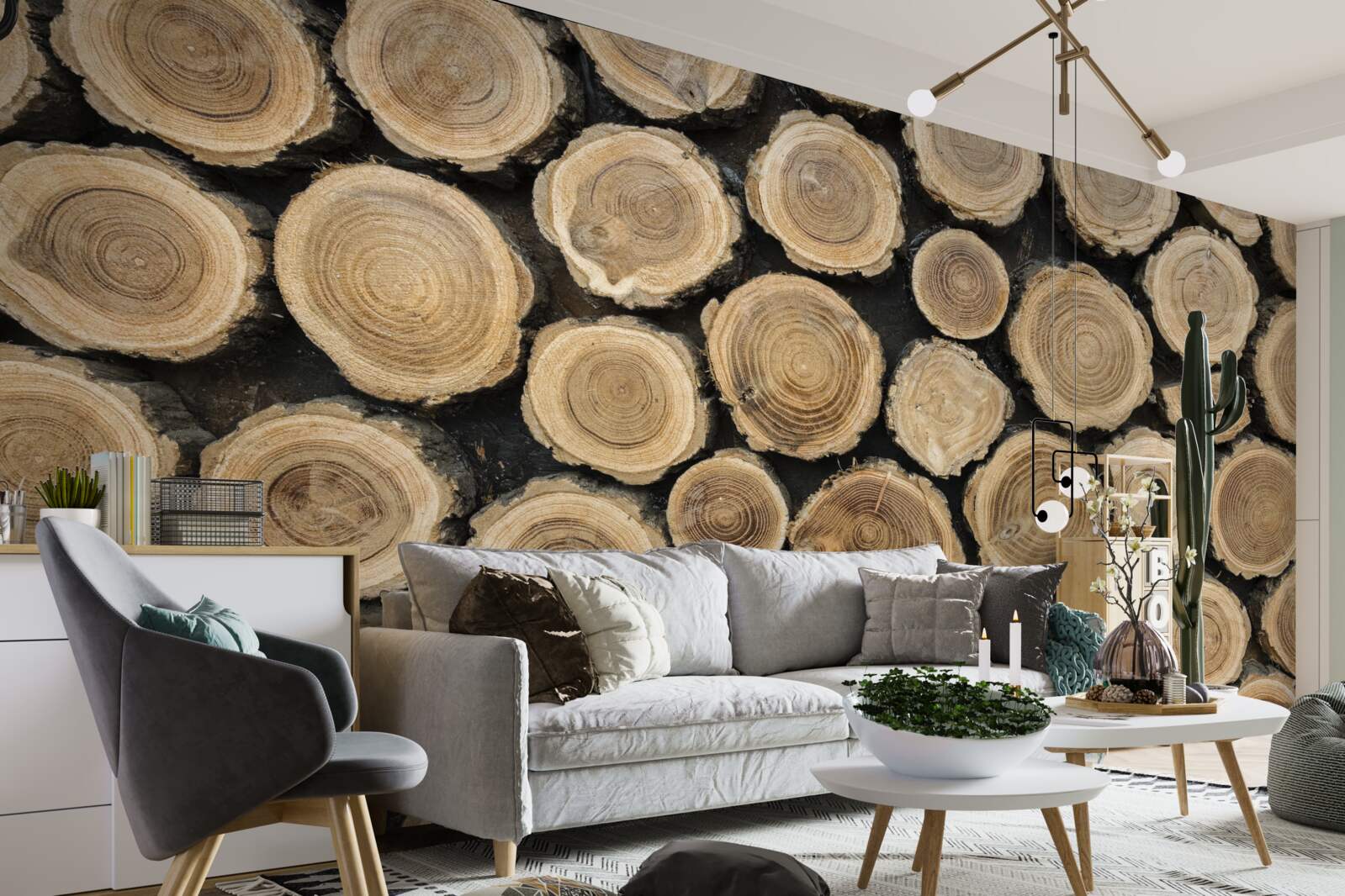 Fototapeta padnuté stromy v tvare kruhu