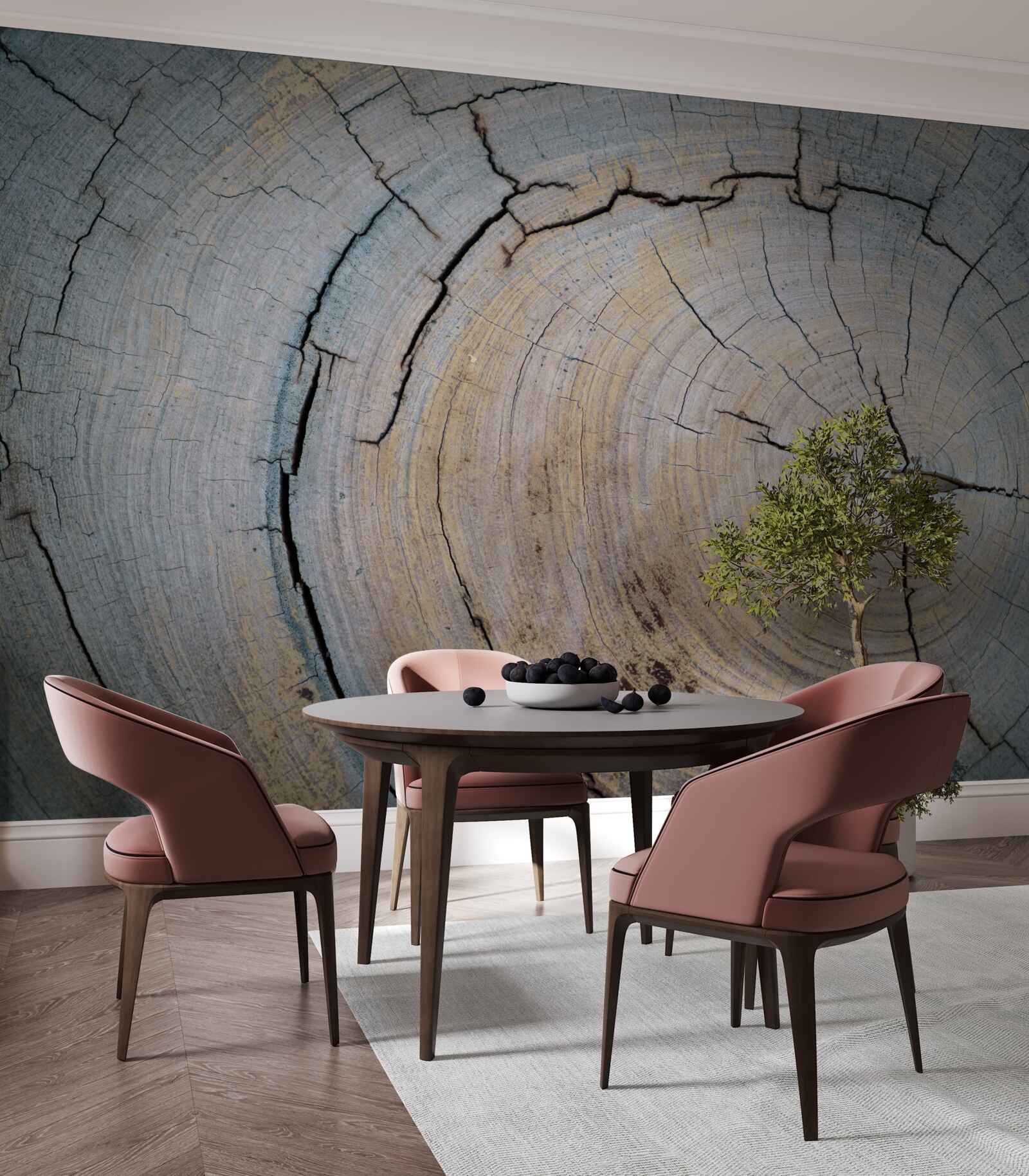 Fototapeta detailný pohľad na kmeň stromu