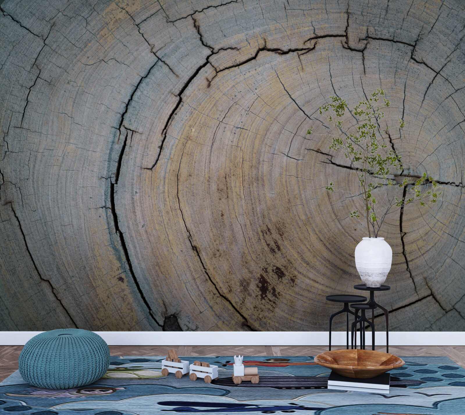 Fototapeta detailný pohľad na kmeň stromu