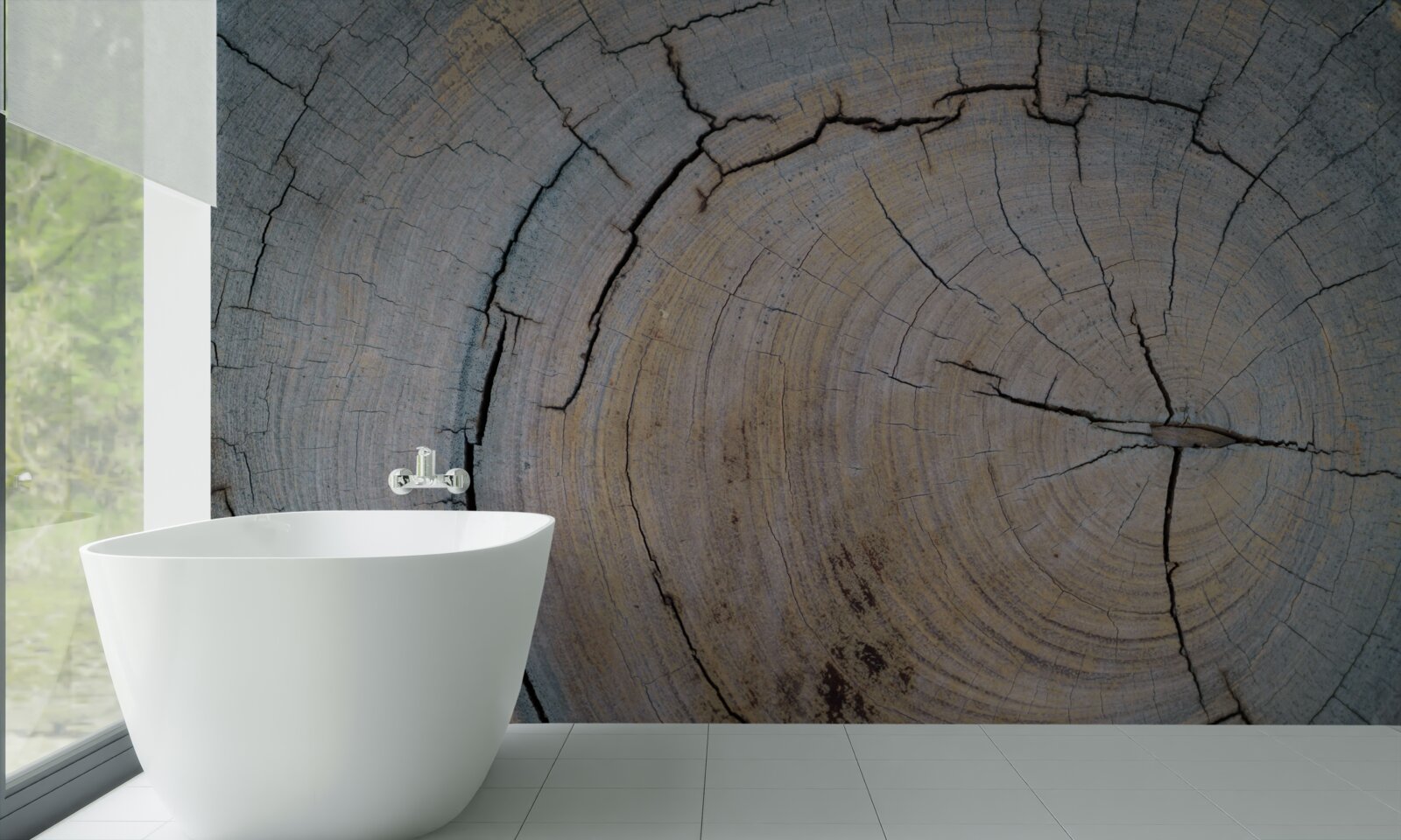 Fototapeta detailný pohľad na kmeň stromu