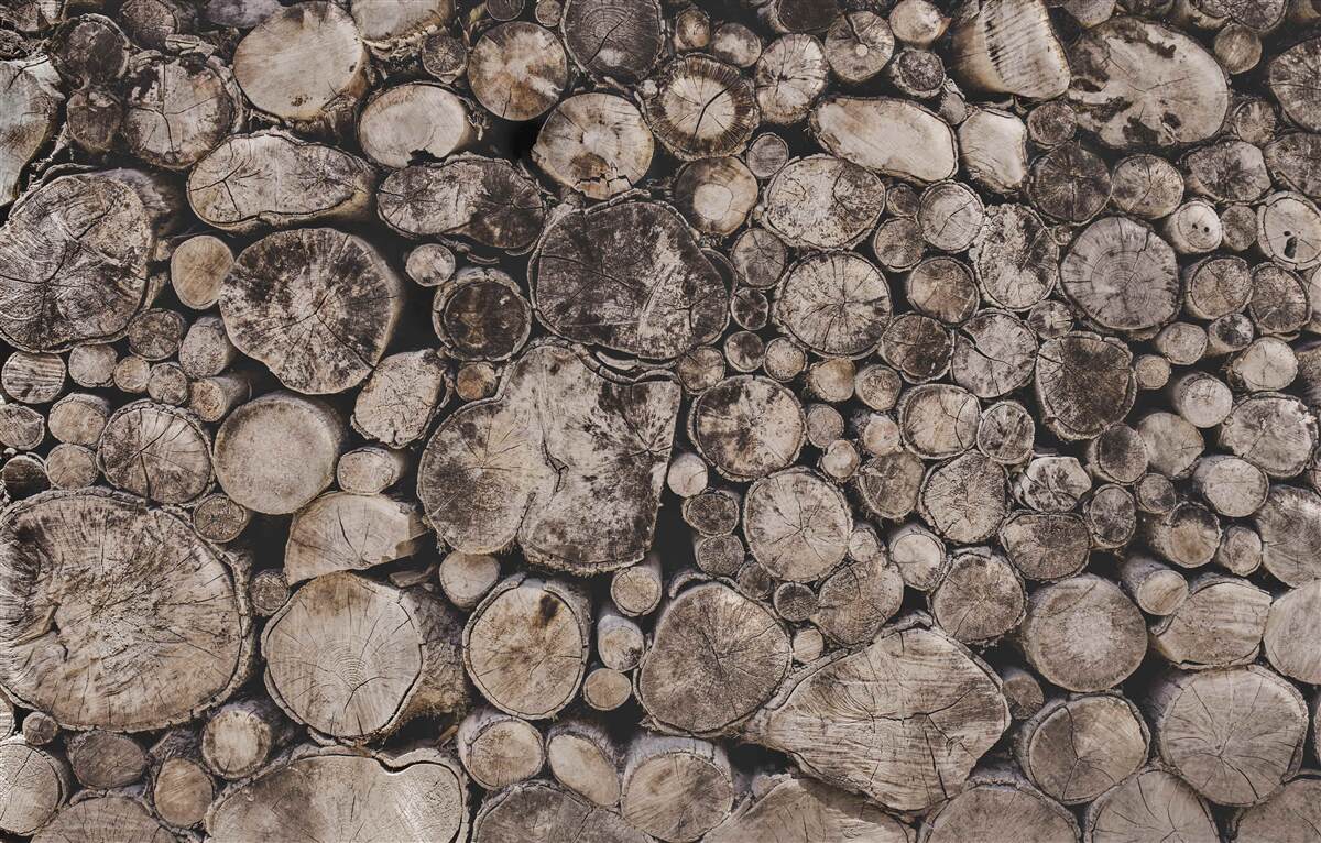 Fototapeta nečisté kusy dreva