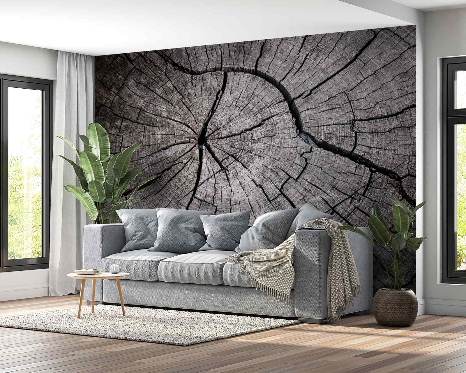 Fototapeta praskliny prechádzajú starým drevom