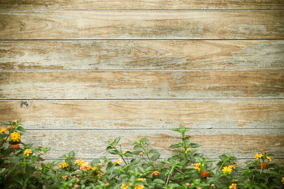 Fototapeta Na pozadí parketovej podlahy obklopenej zeleňou sú žlté kvety