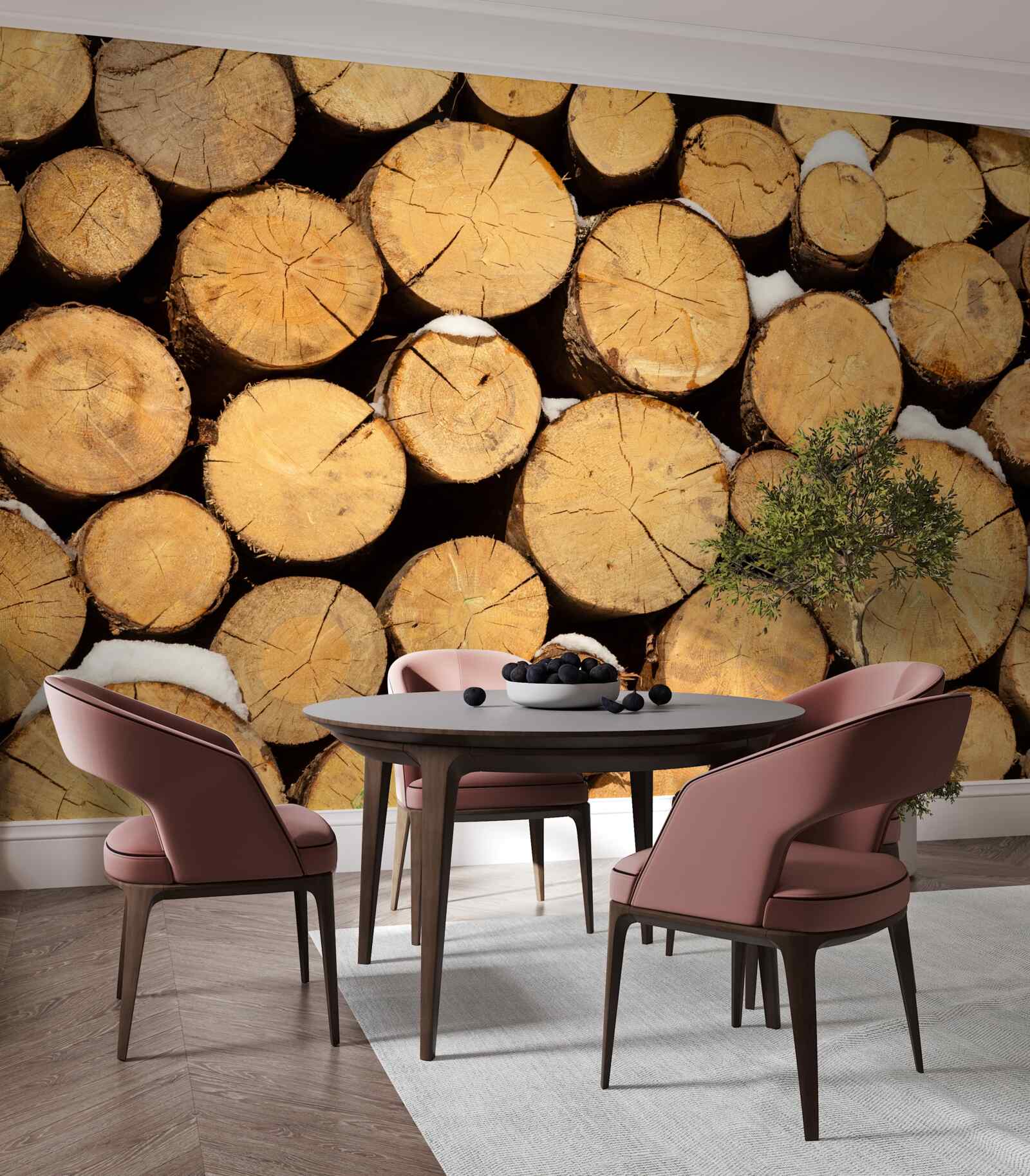 Fototapeta starostlivý výrub stromov