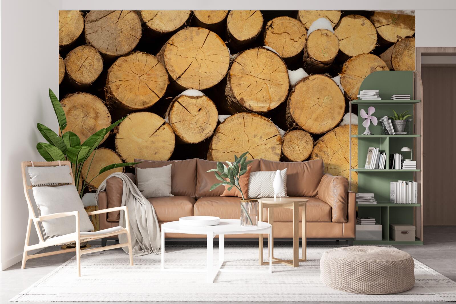 Fototapeta starostlivý výrub stromov