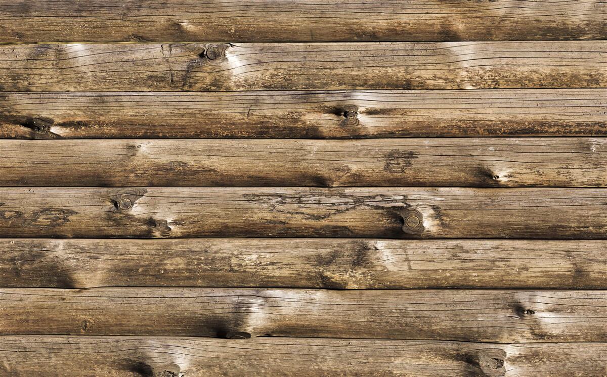 Fototapeta Stena z hnedých kmeňov