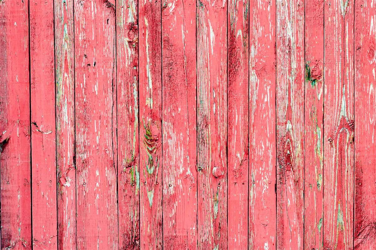 Fototapeta plot natretý na ružovo