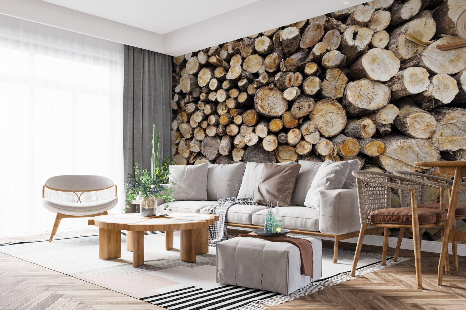 Fototapeta je veľa vyrúbaných stromov