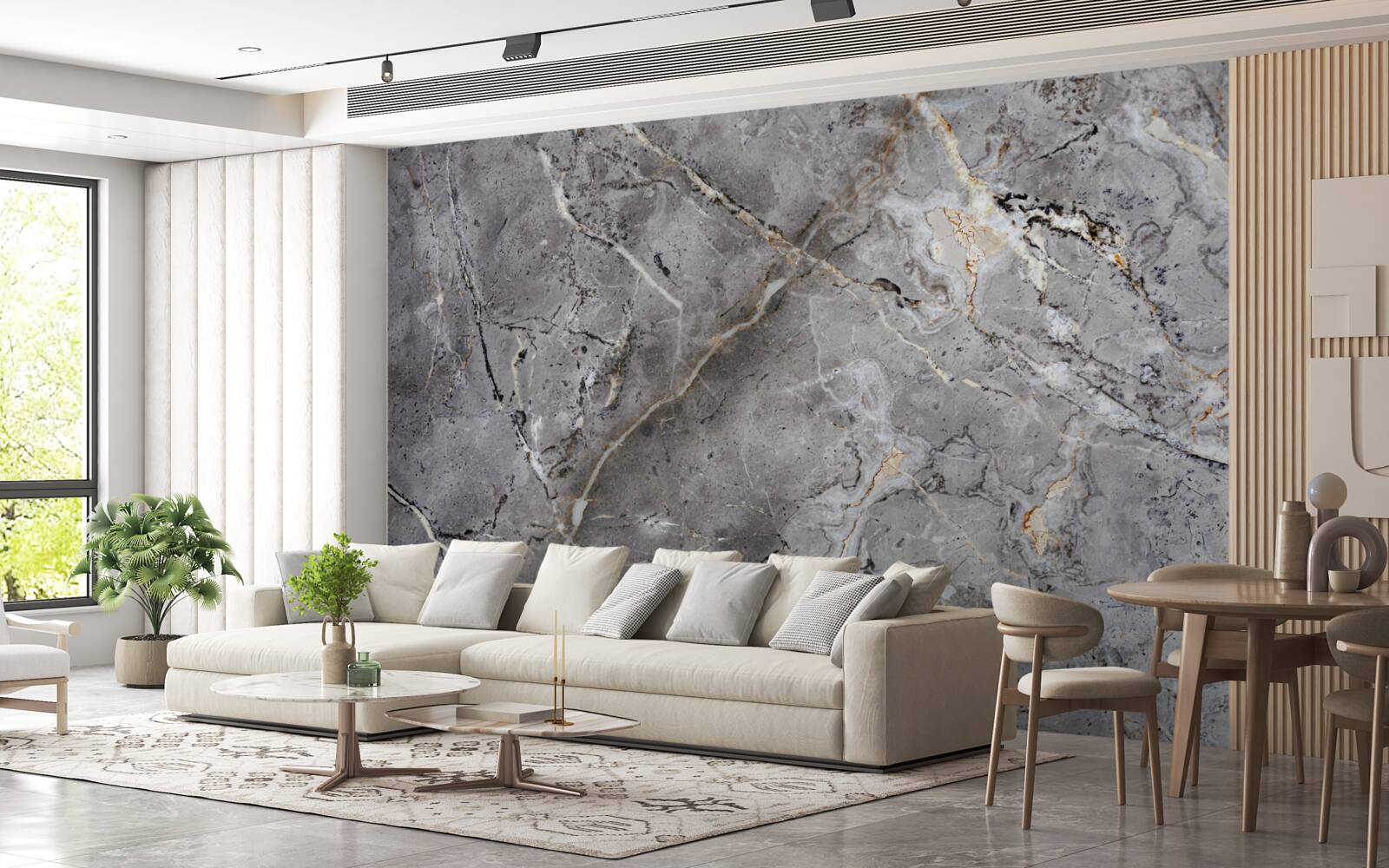 Fototapeta sivá mramorová hrubá textúra