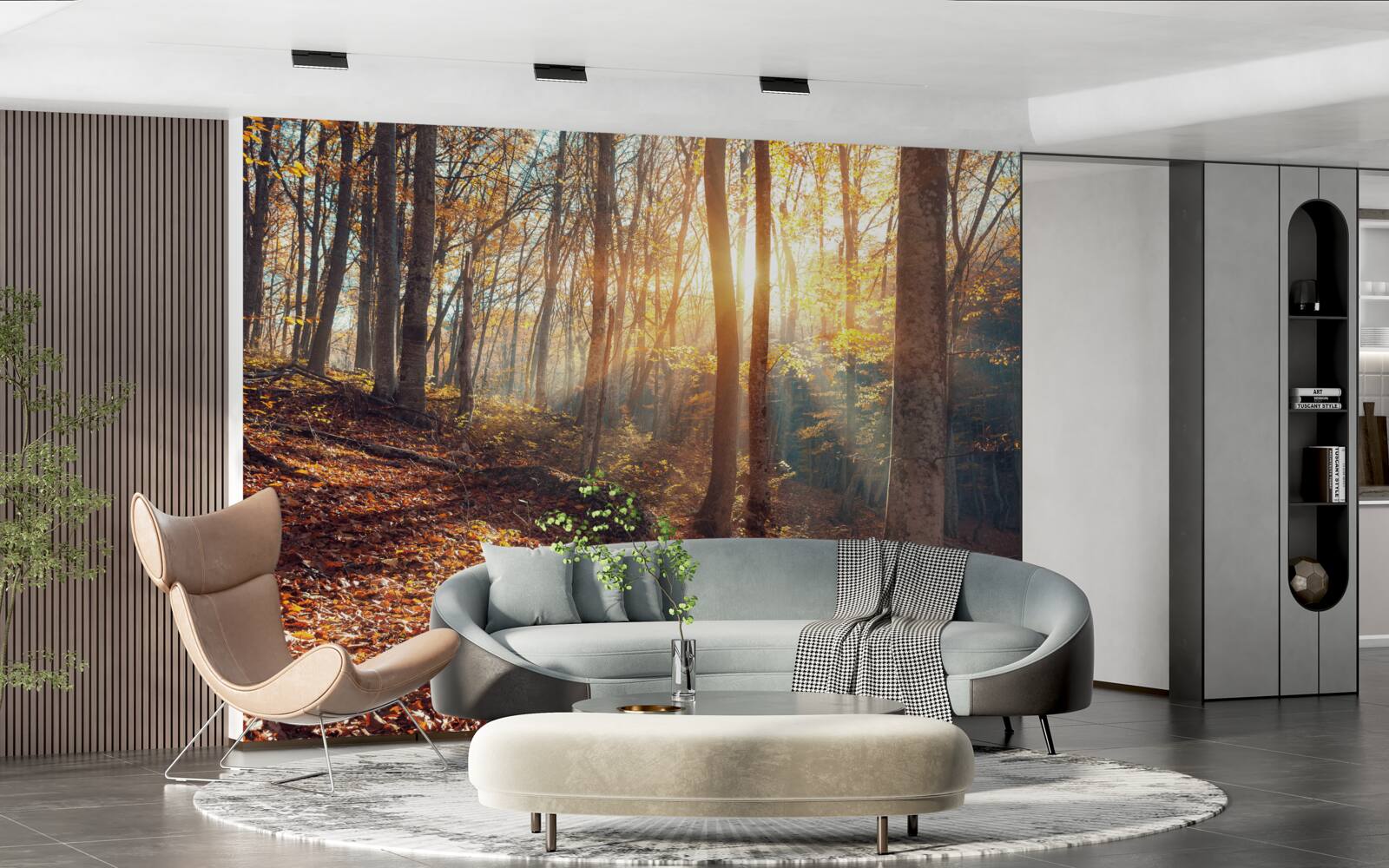 Fototapeta ranný les zahalený v hmle zažíva slnečné teplo