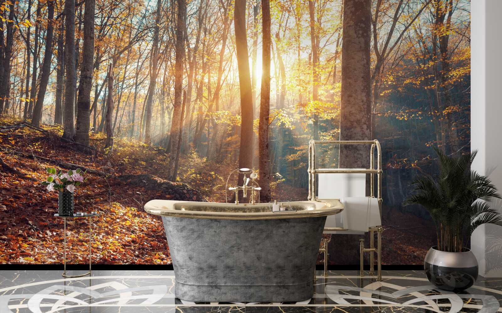 Fototapeta ranný les zahalený v hmle zažíva slnečné teplo