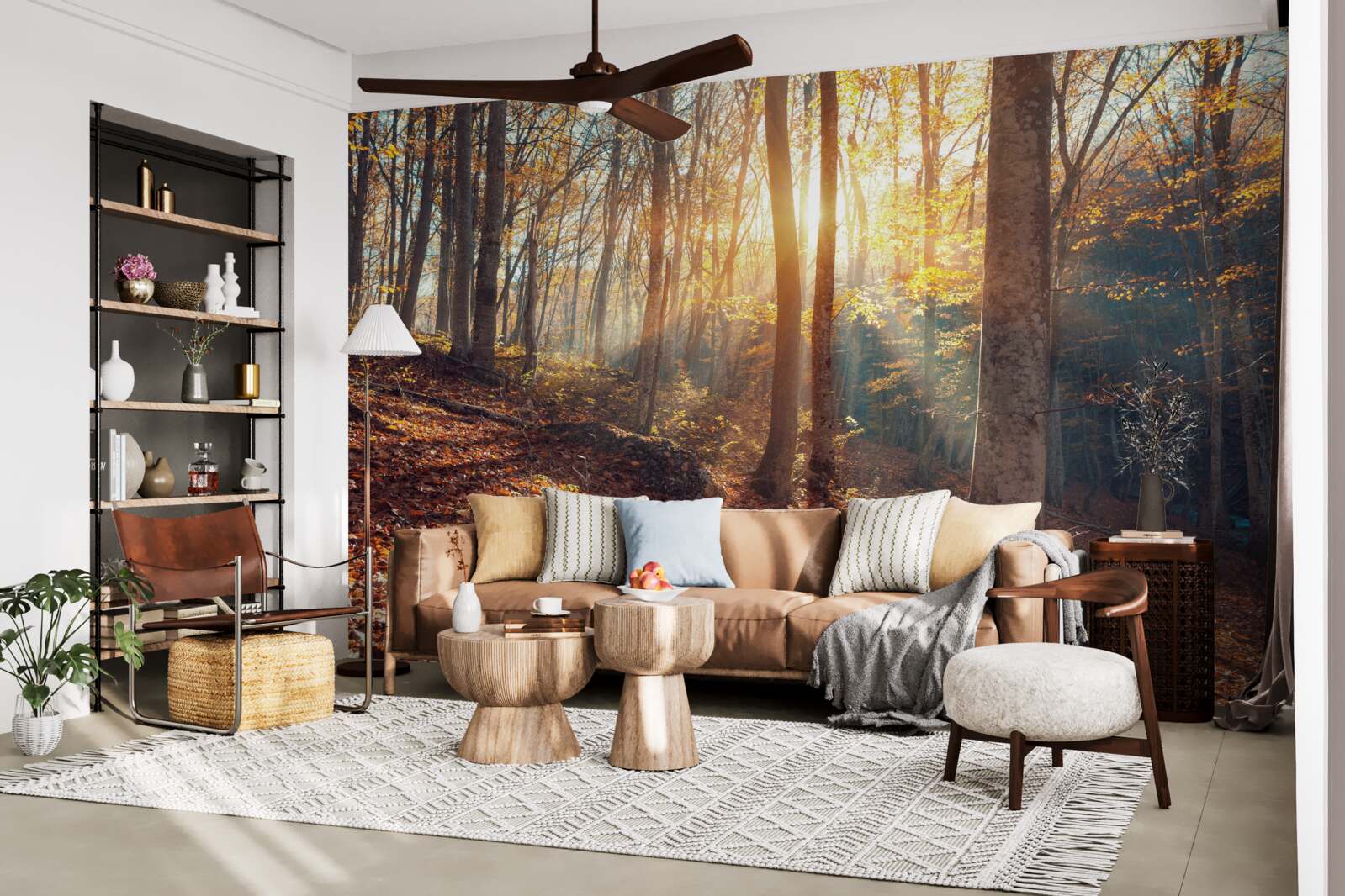 Fototapeta ranný les zahalený v hmle zažíva slnečné teplo