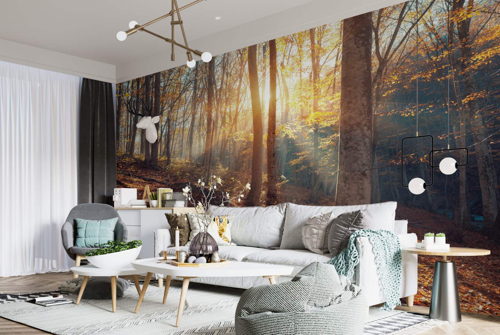 Fototapeta ranný les zahalený v hmle zažíva slnečné teplo