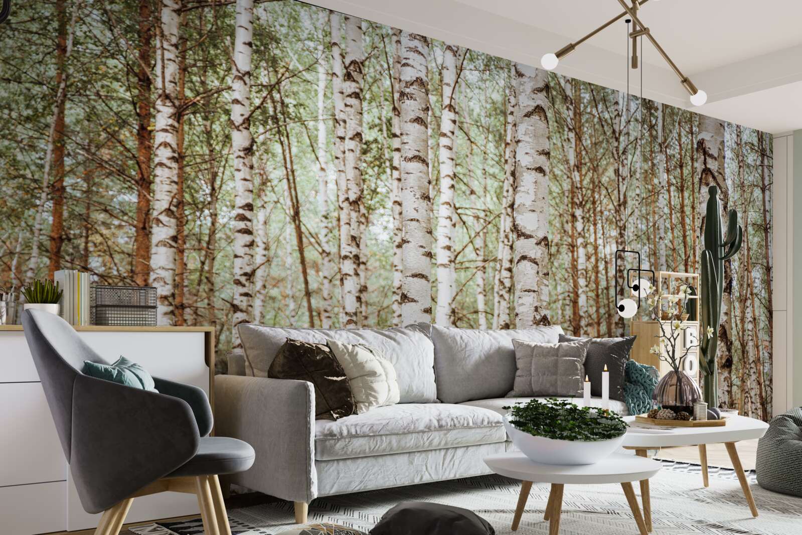 Fototapeta V zelenom lese stoja brezy Sledrine