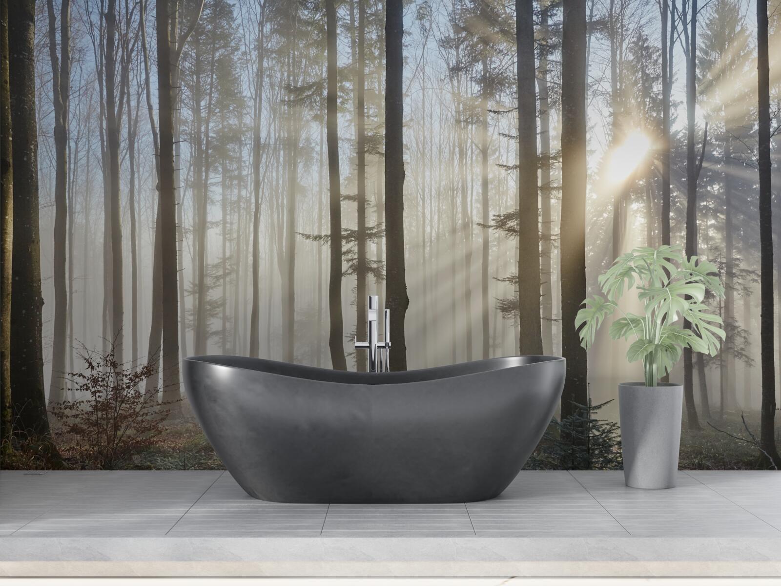 Fototapeta slnečné lúče sa predierajú hmlou v húšti stromov