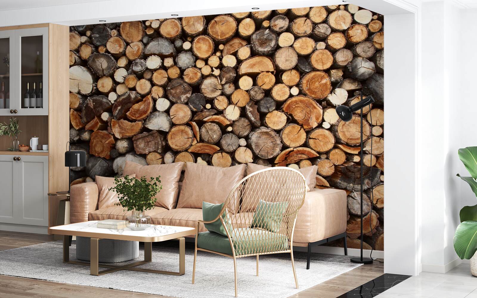 Fototapeta plátky stromov v rôznych farbách