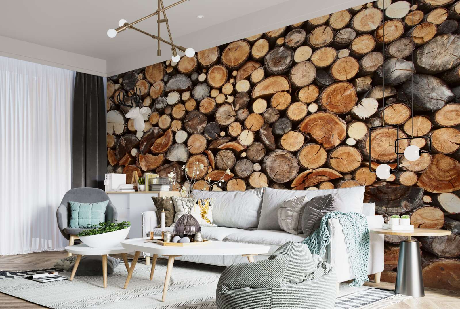 Fototapeta plátky stromov v rôznych farbách