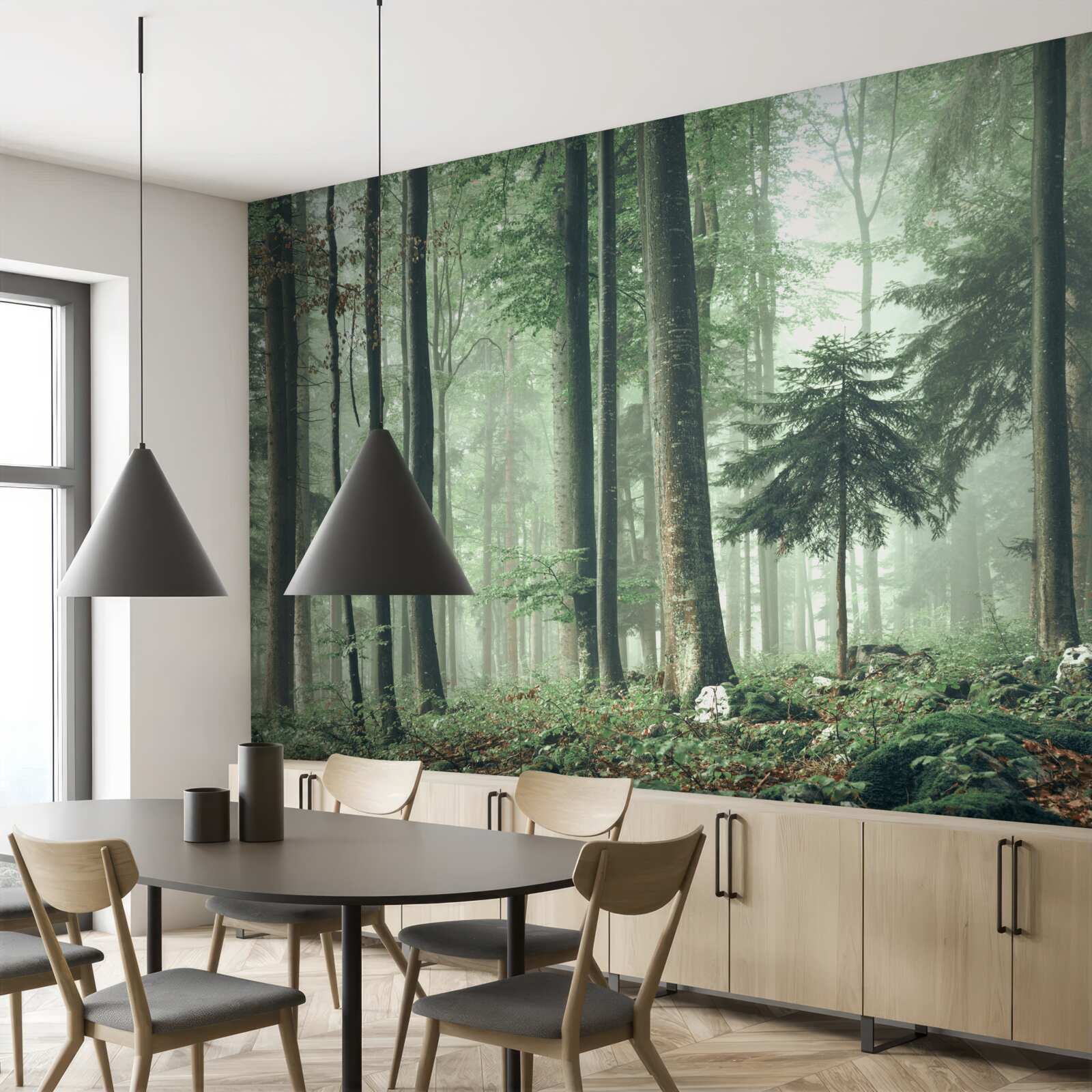 Fototapeta Svetlo cez hmlu v lese listnatých stromov