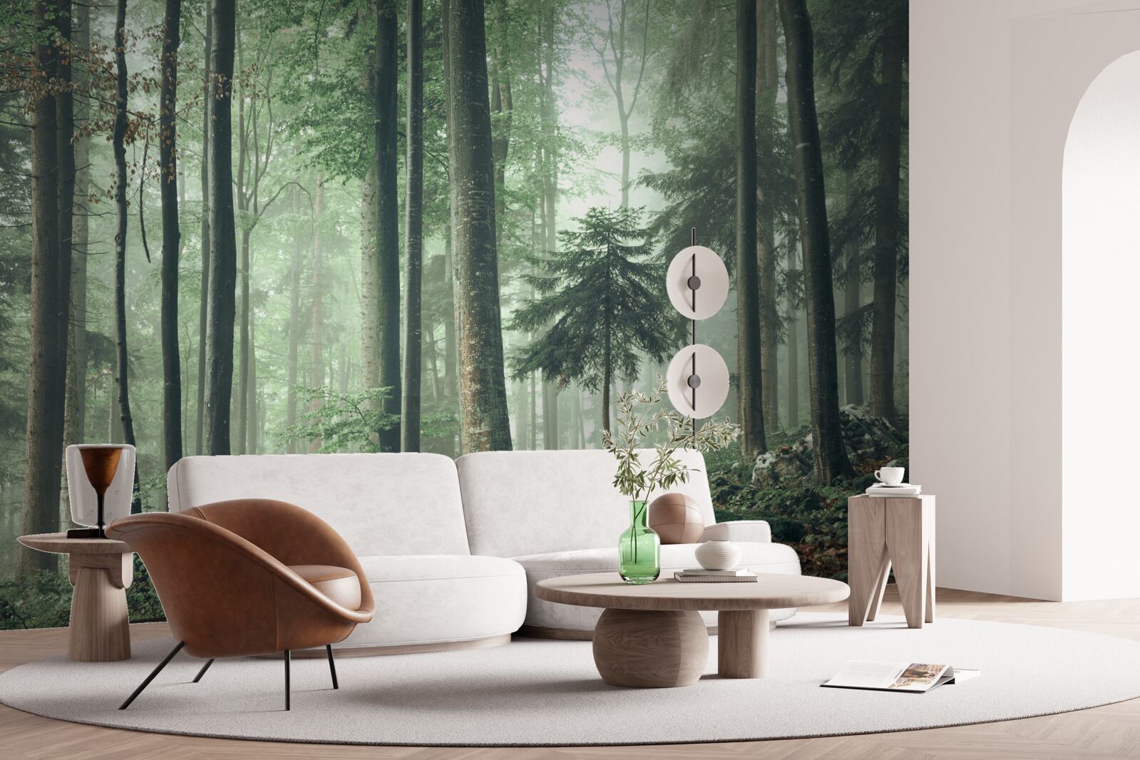 Fototapeta Svetlo cez hmlu v lese listnatých stromov