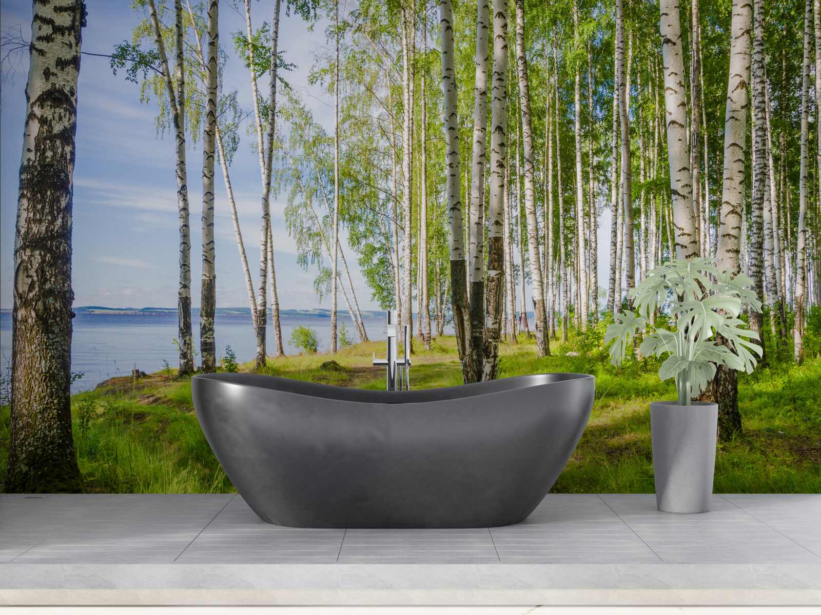 Fototapeta čistinka s brezami pri jazere, obklopená zeleňou