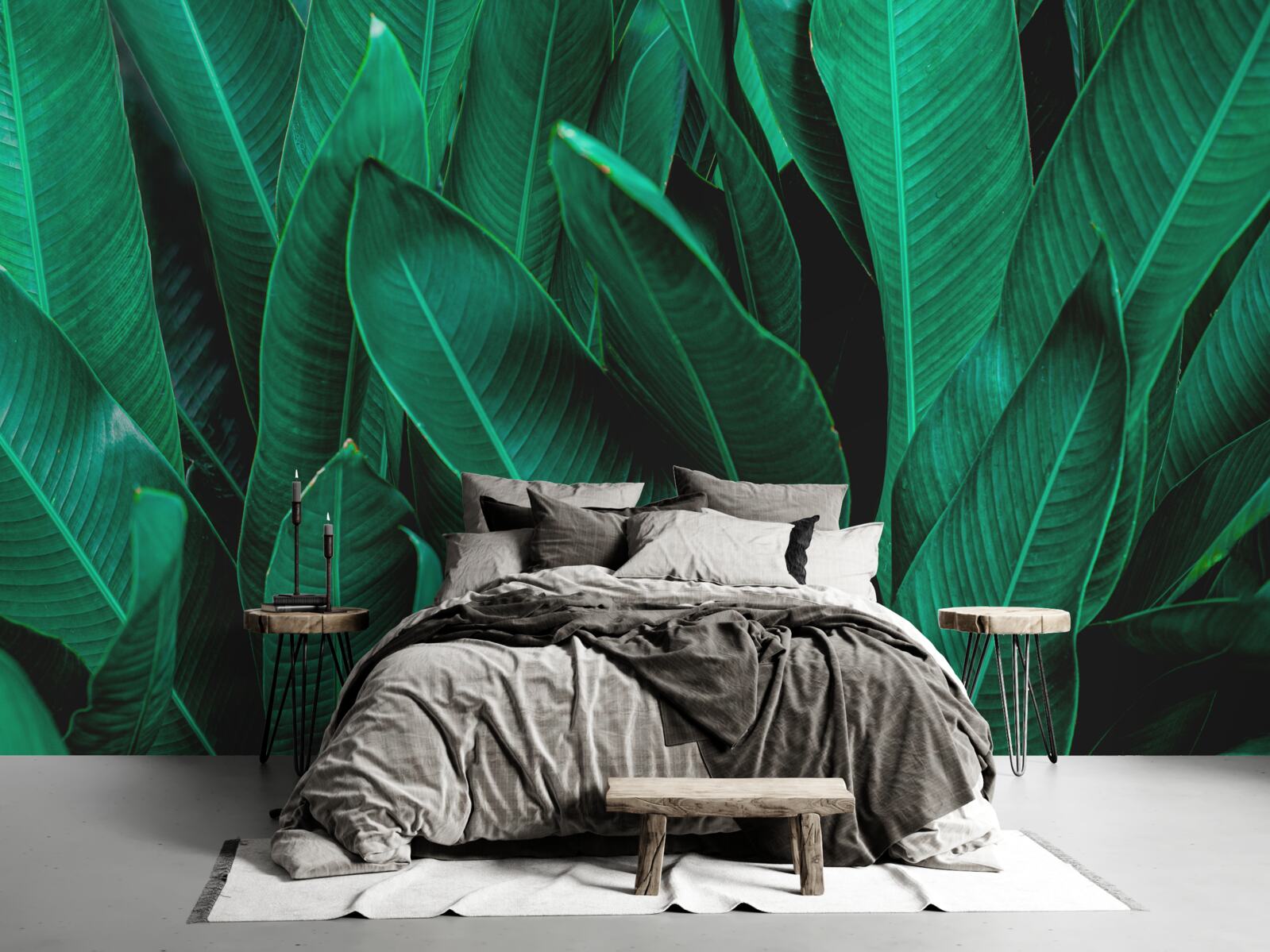 Fototapeta papraď so svetlým smaragdovým odtieňom