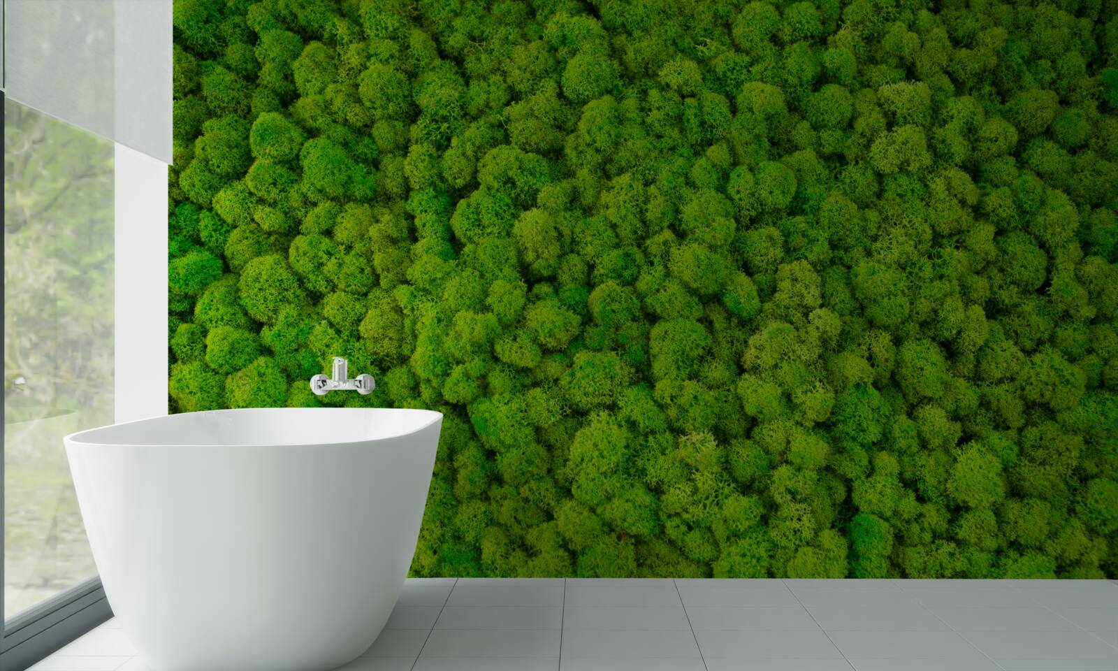 Fototapeta husté vrcholy zelených lesných obrov