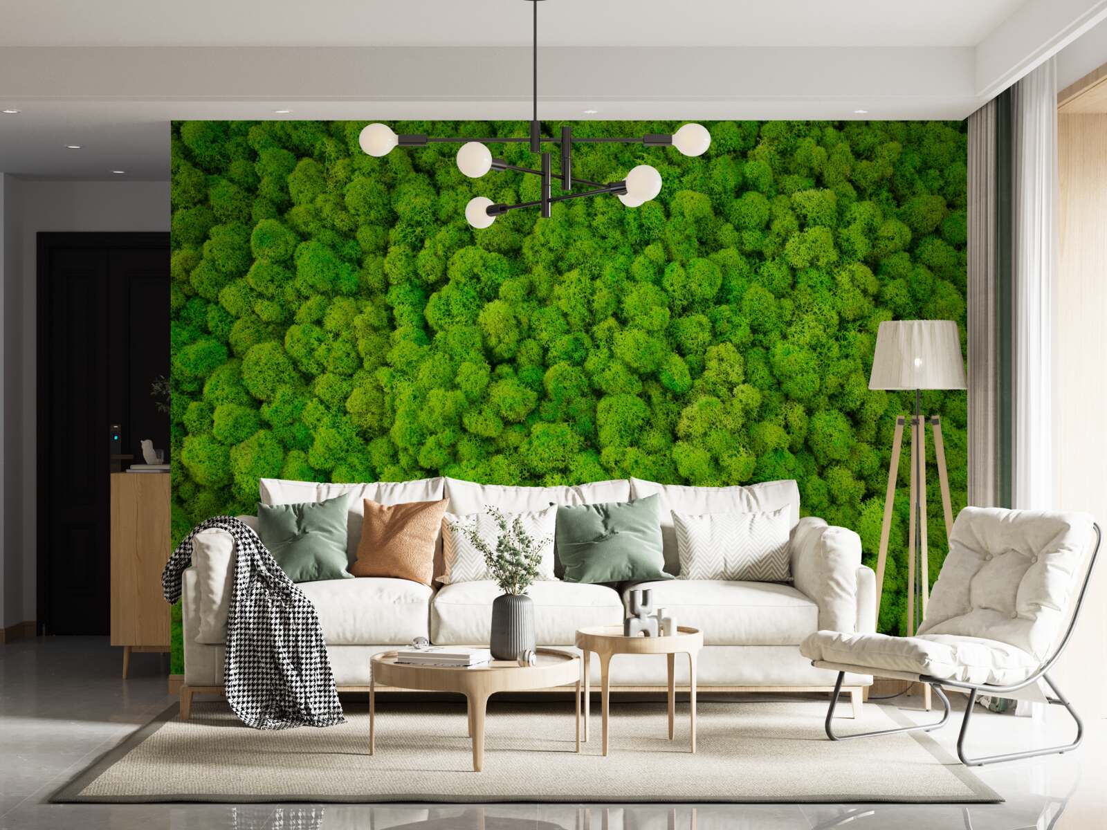 Fototapeta husté vrcholy zelených lesných obrov