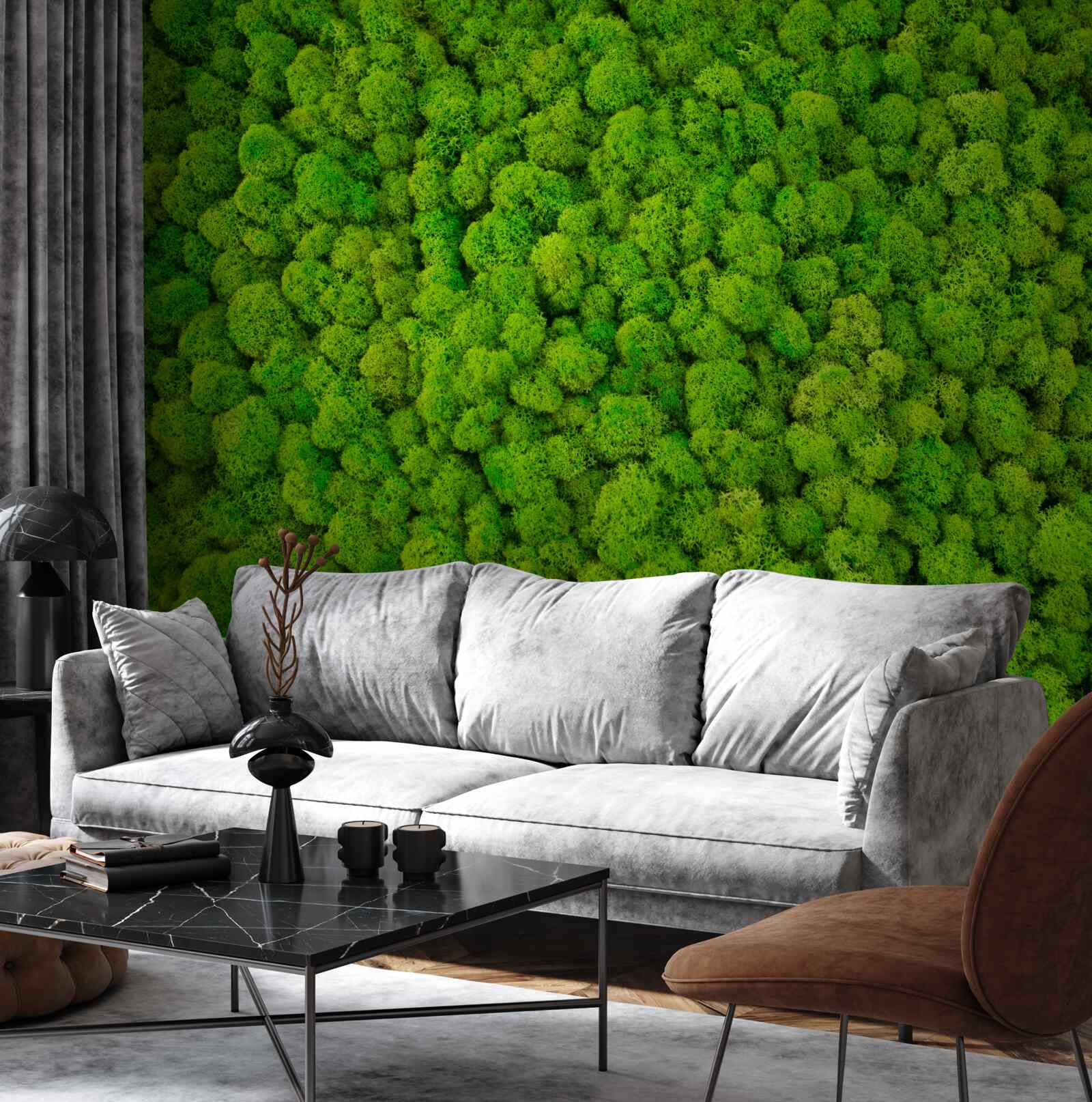 Fototapeta husté vrcholy zelených lesných obrov