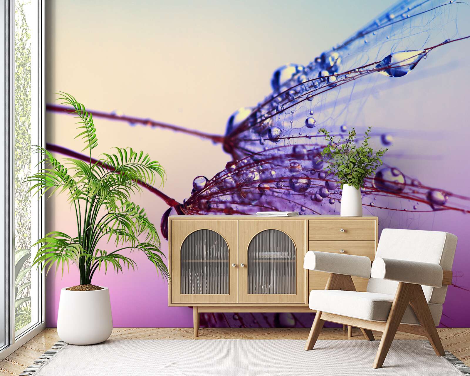 Fototapeta pri západe slnka kvapky rosy zdobia púpavu