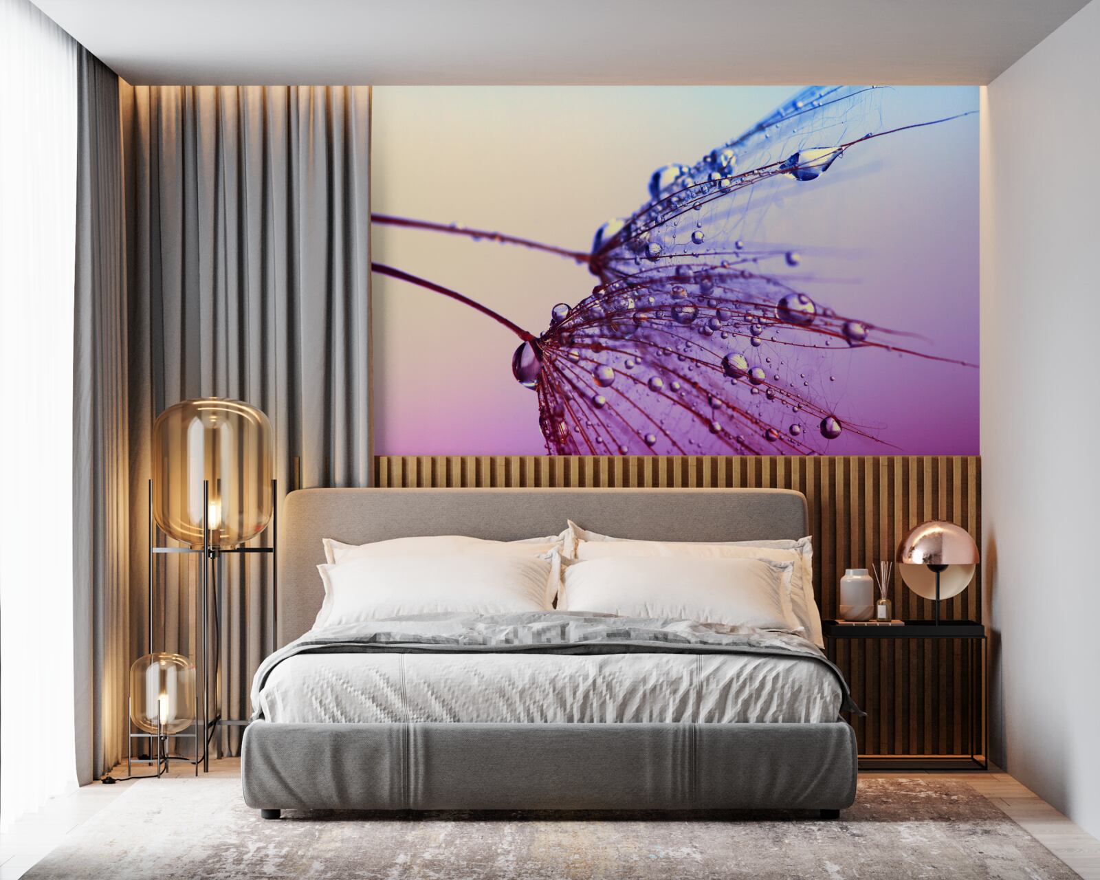 Fototapeta pri západe slnka kvapky rosy zdobia púpavu