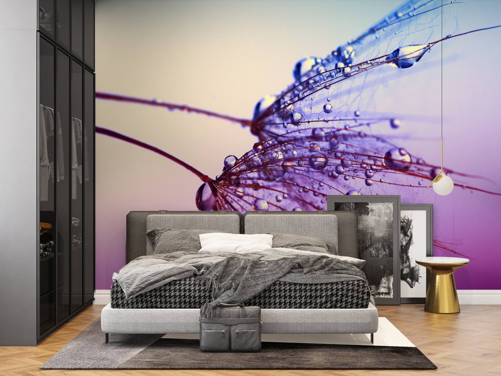 Fototapeta pri západe slnka kvapky rosy zdobia púpavu