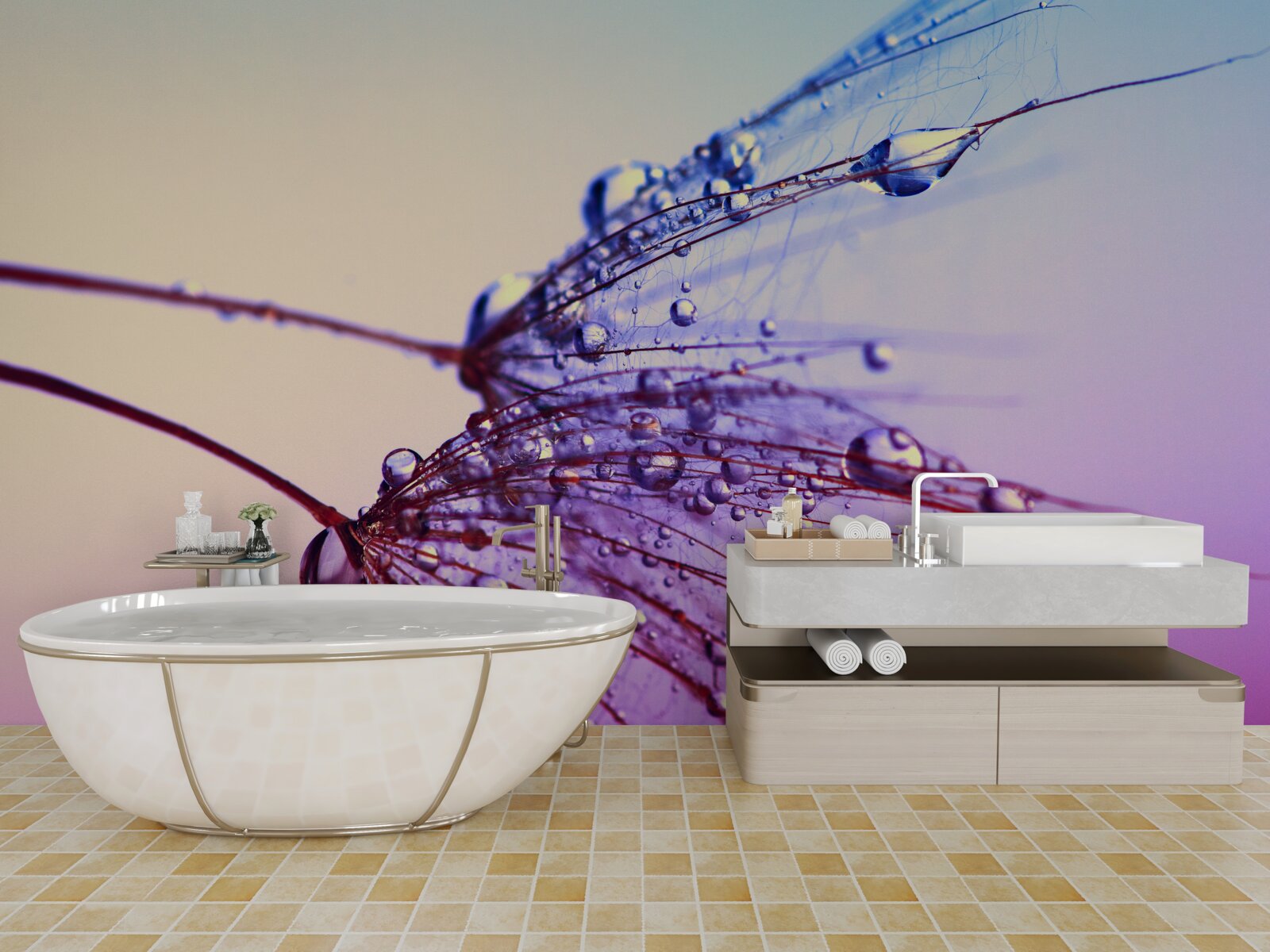 Fototapeta pri západe slnka kvapky rosy zdobia púpavu