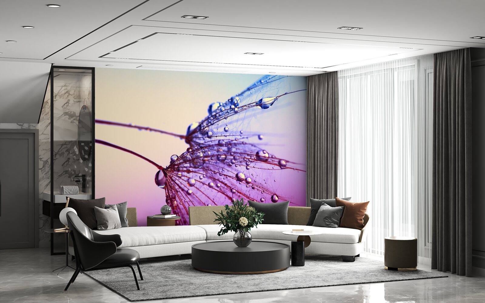 Fototapeta pri západe slnka kvapky rosy zdobia púpavu