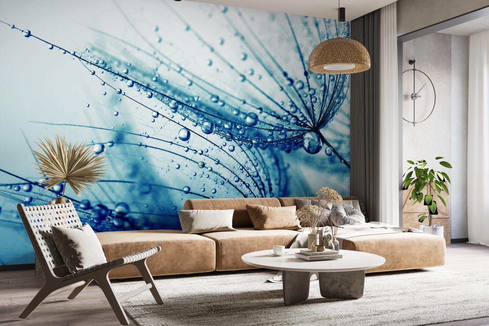 Fototapeta kvapky na púpavu