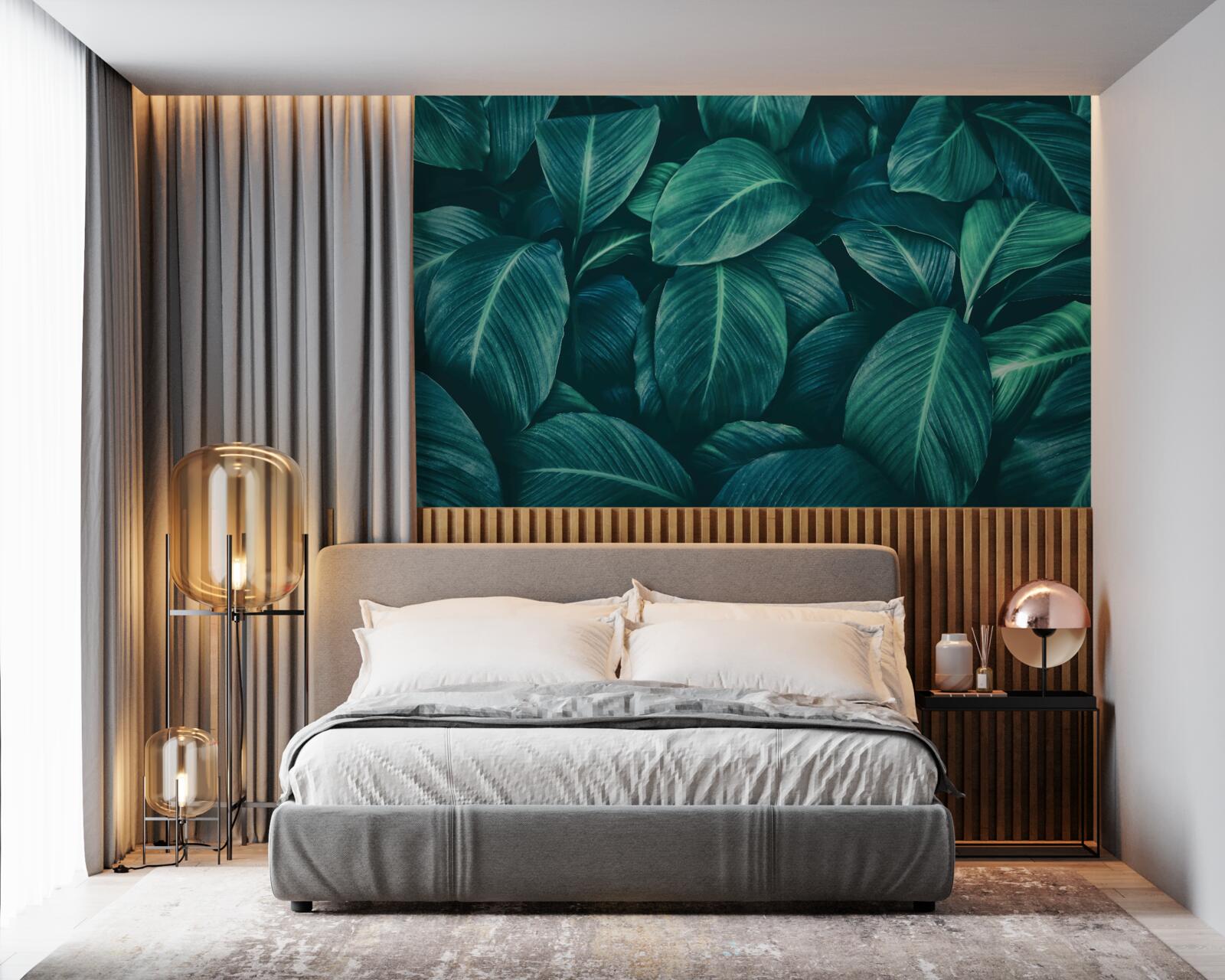 Fototapeta listy paprade majú nádhernú smaragdovú farbu