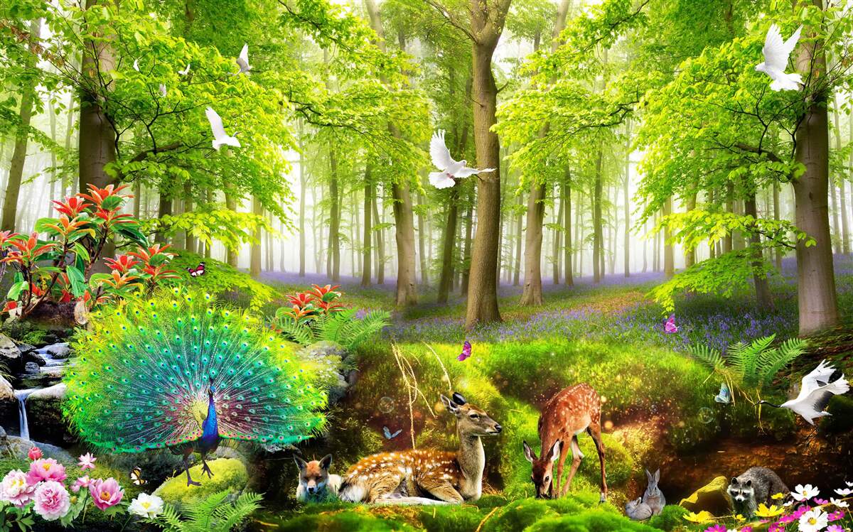 Fototapeta fauna zelených letných lesov