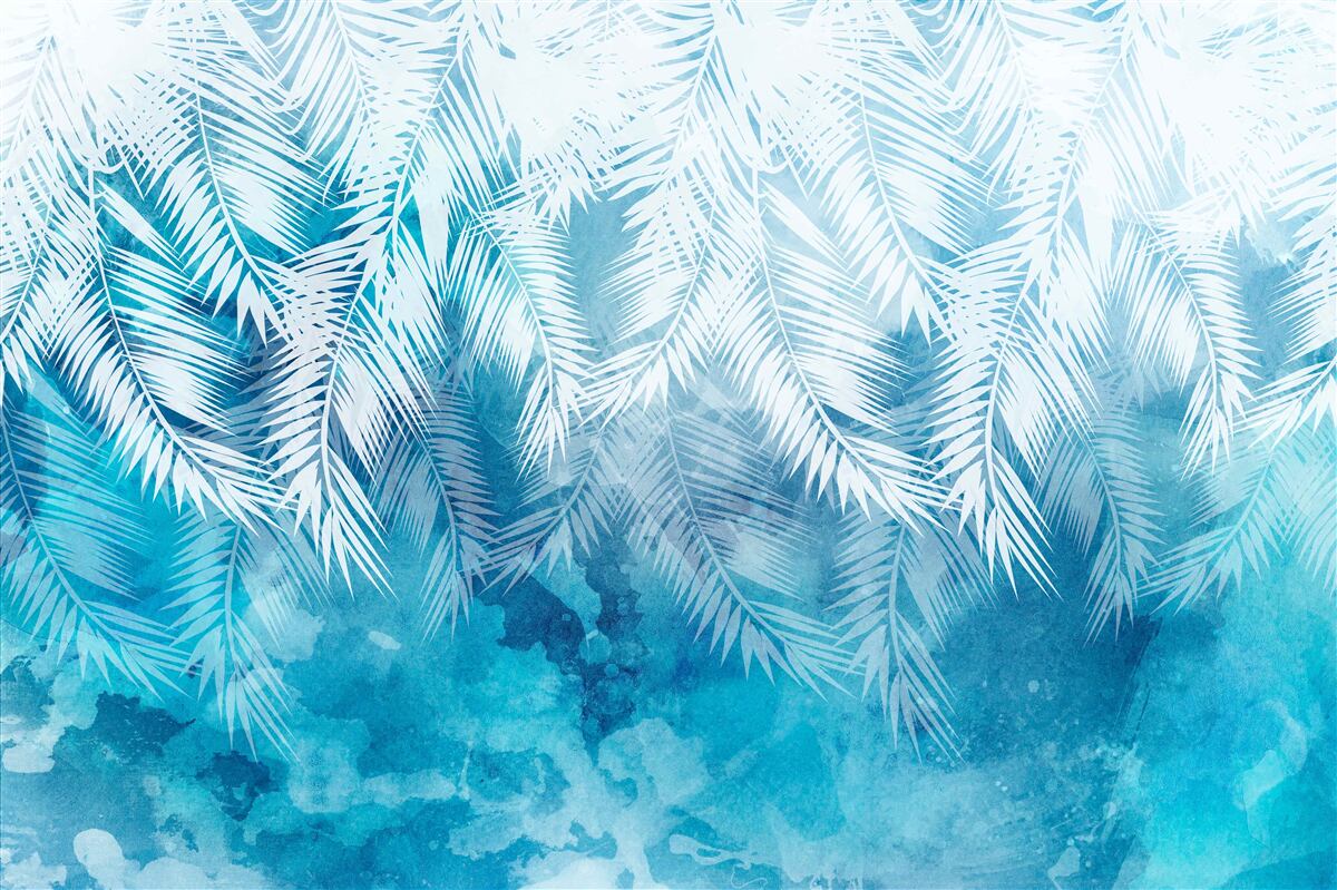 Fototapeta listy bielej paprade na zimnom pozadí