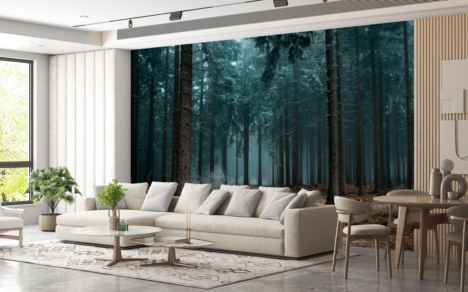 Fototapeta hodnotný chodník do hustého hmlového lesa