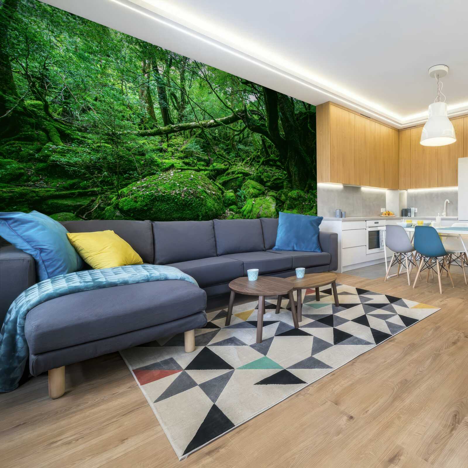 Fototapeta les, hojne zelený, bez slnečného svetla