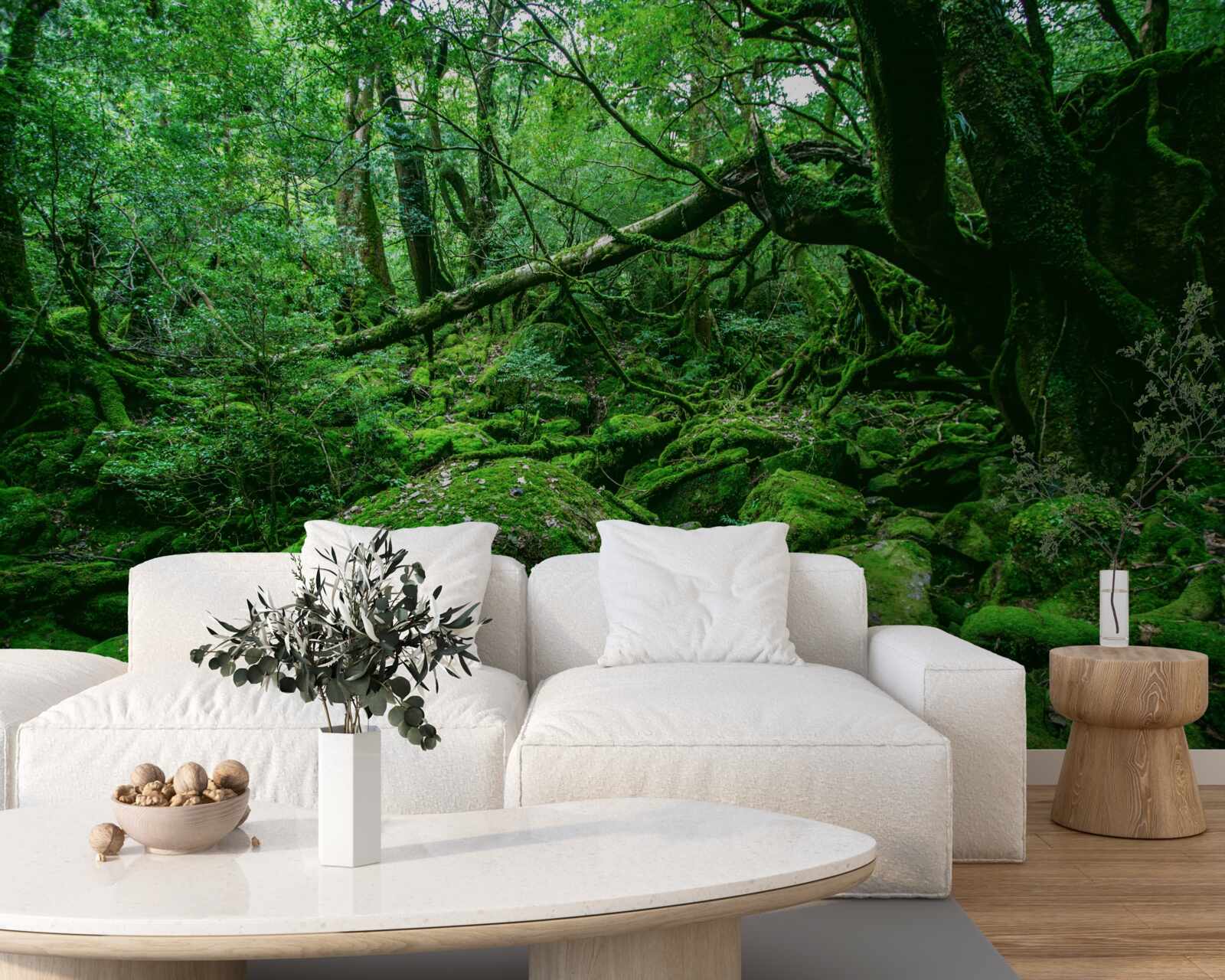 Fototapeta les, hojne zelený, bez slnečného svetla