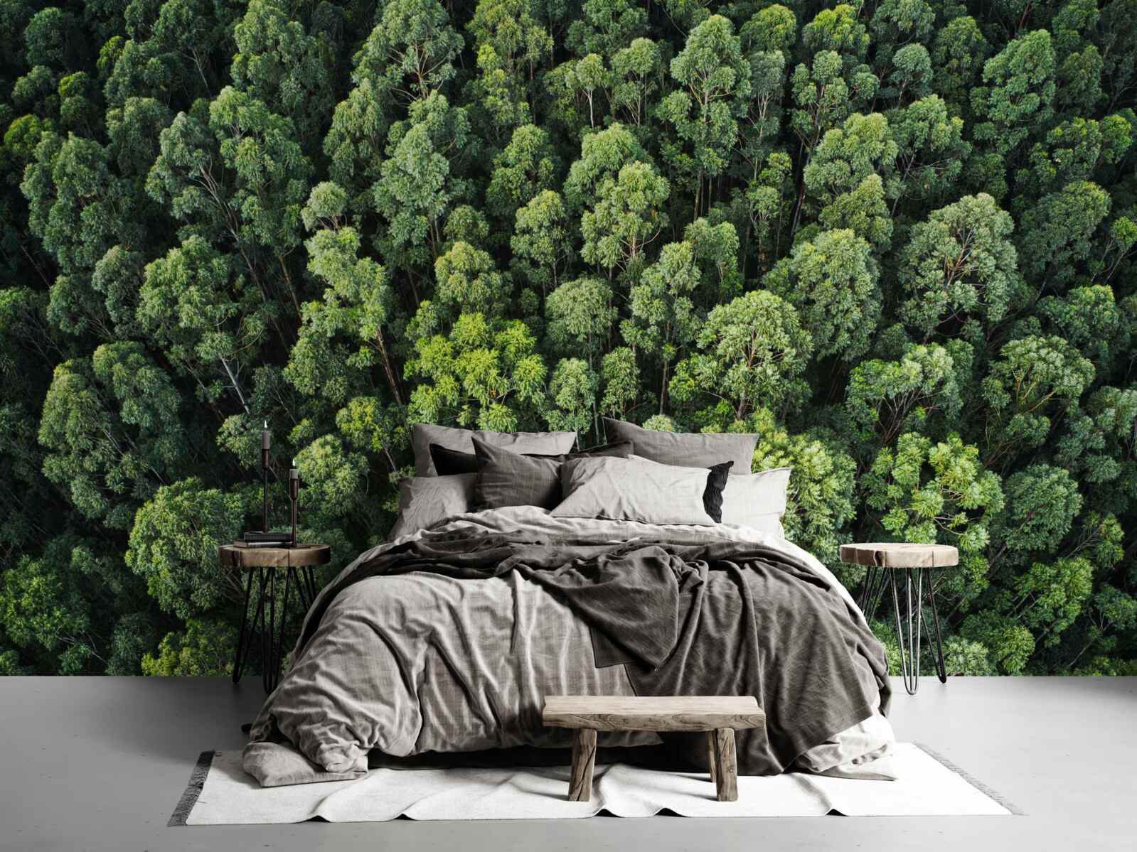 Fototapeta lesné stromy so zelenými korunami