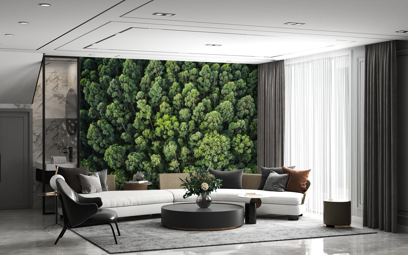 Fototapeta lesné stromy so zelenými korunami