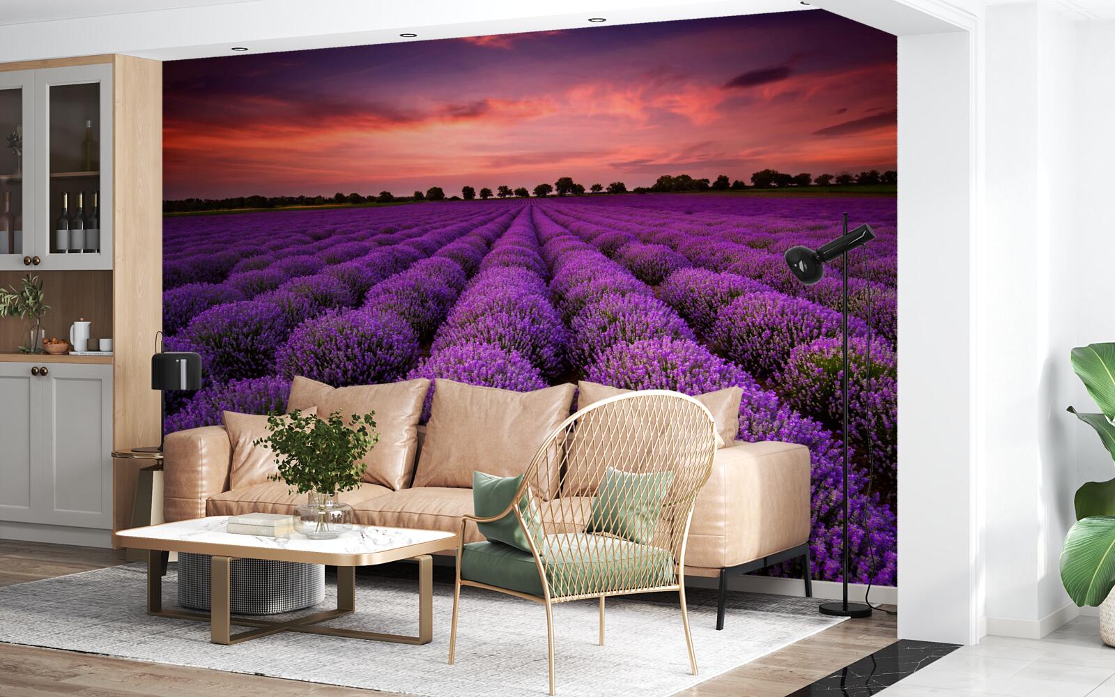 Fototapeta nádherné levanduľové pole