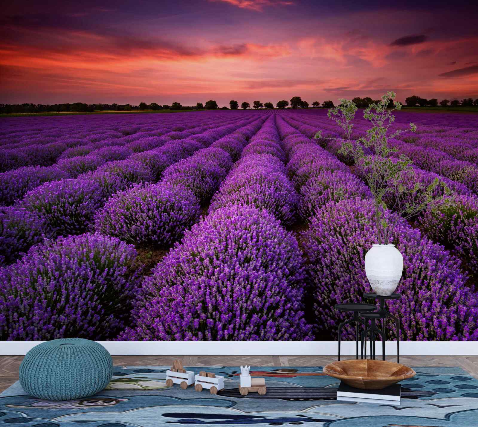 Fototapeta nádherné levanduľové pole