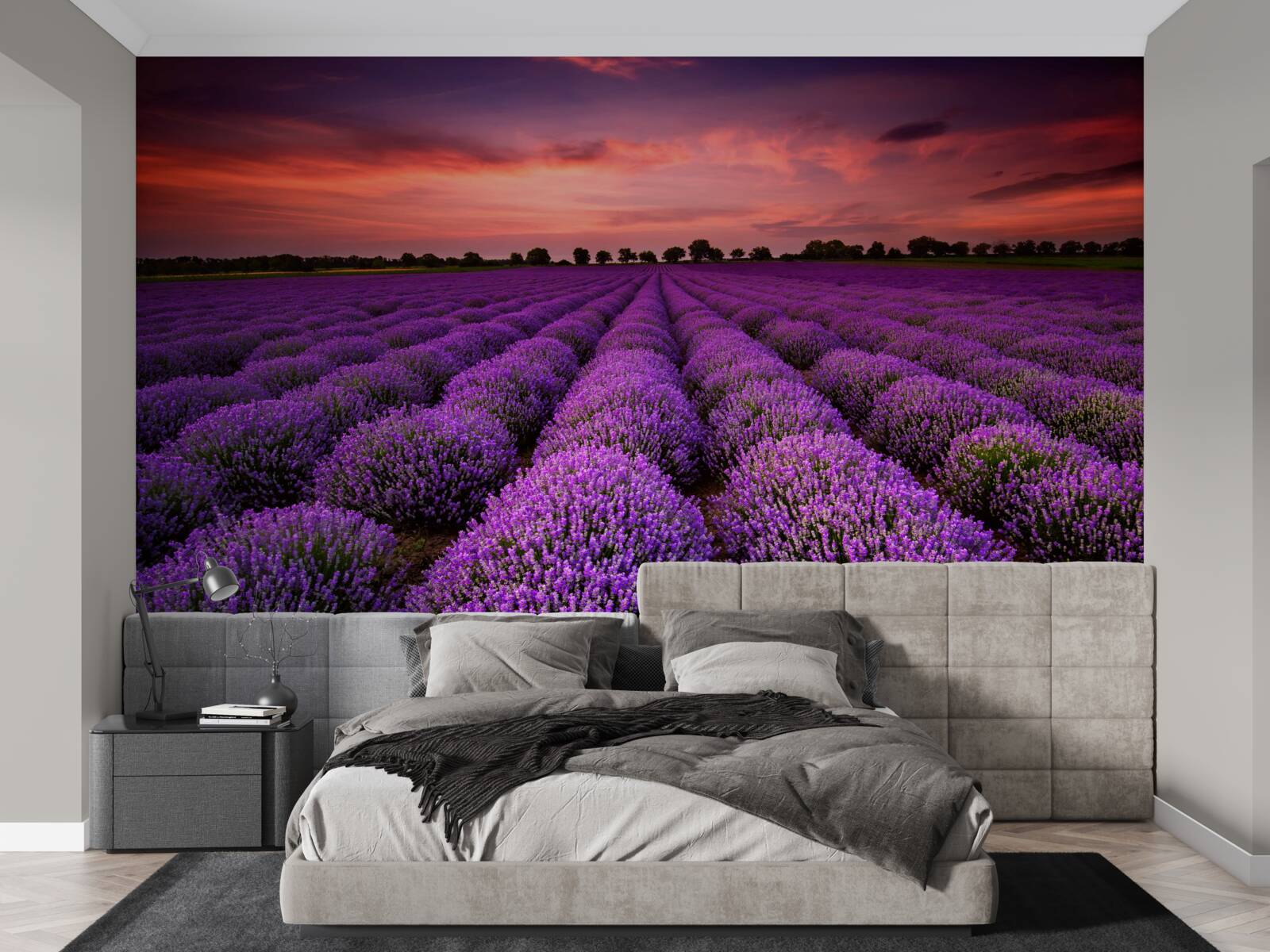 Fototapeta nádherné levanduľové pole