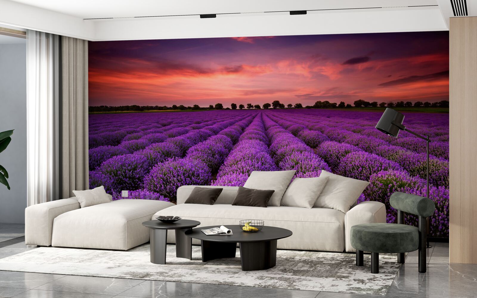 Fototapeta nádherné levanduľové pole